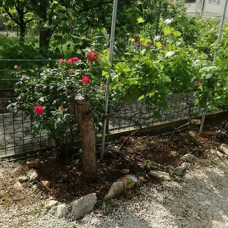 Apartment Marica *